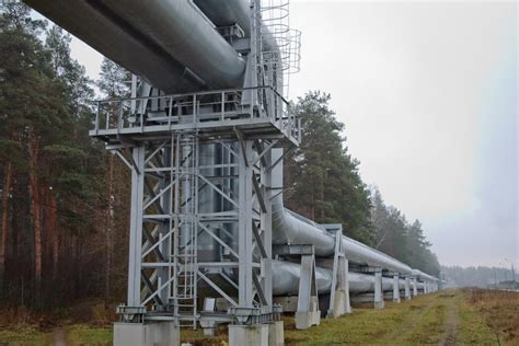 Как G7 планирует синхронизировать доступ к запасам нефти