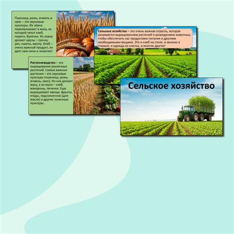 Как школьники Ставрополя узнали, чем живёт современное сельское хозяйство